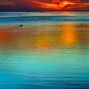 Meet your Posher, Cynthia